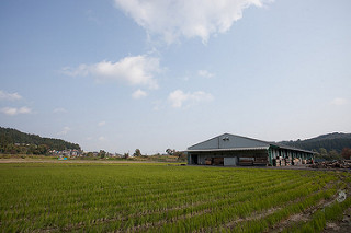 豊かな自然に囲まれた敷地